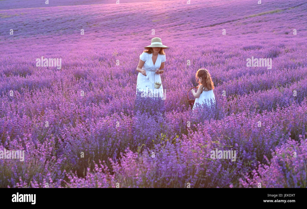 Madre e figlia in piedi in un campo di lavanda, Bulgaria Foto Stock