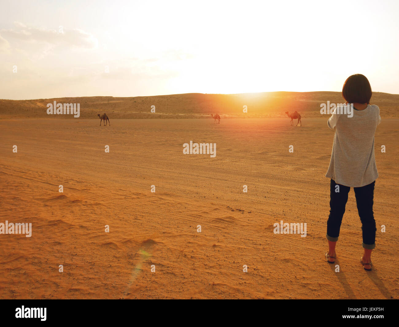 Prendendo foto di cammelli e del tramonto nel deserto wahiba, Oman Foto Stock