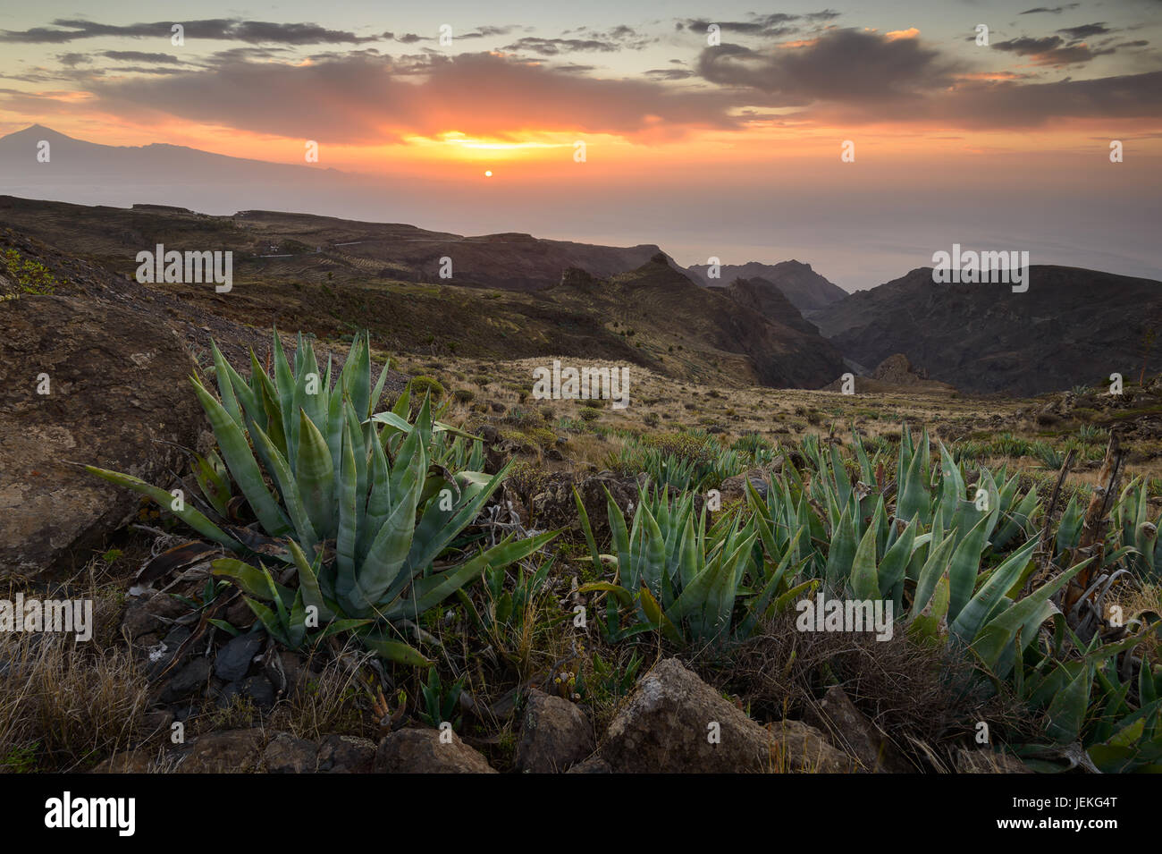 Paesaggio vulcanico, La Gomera, isole Canarie, Spagna Foto Stock