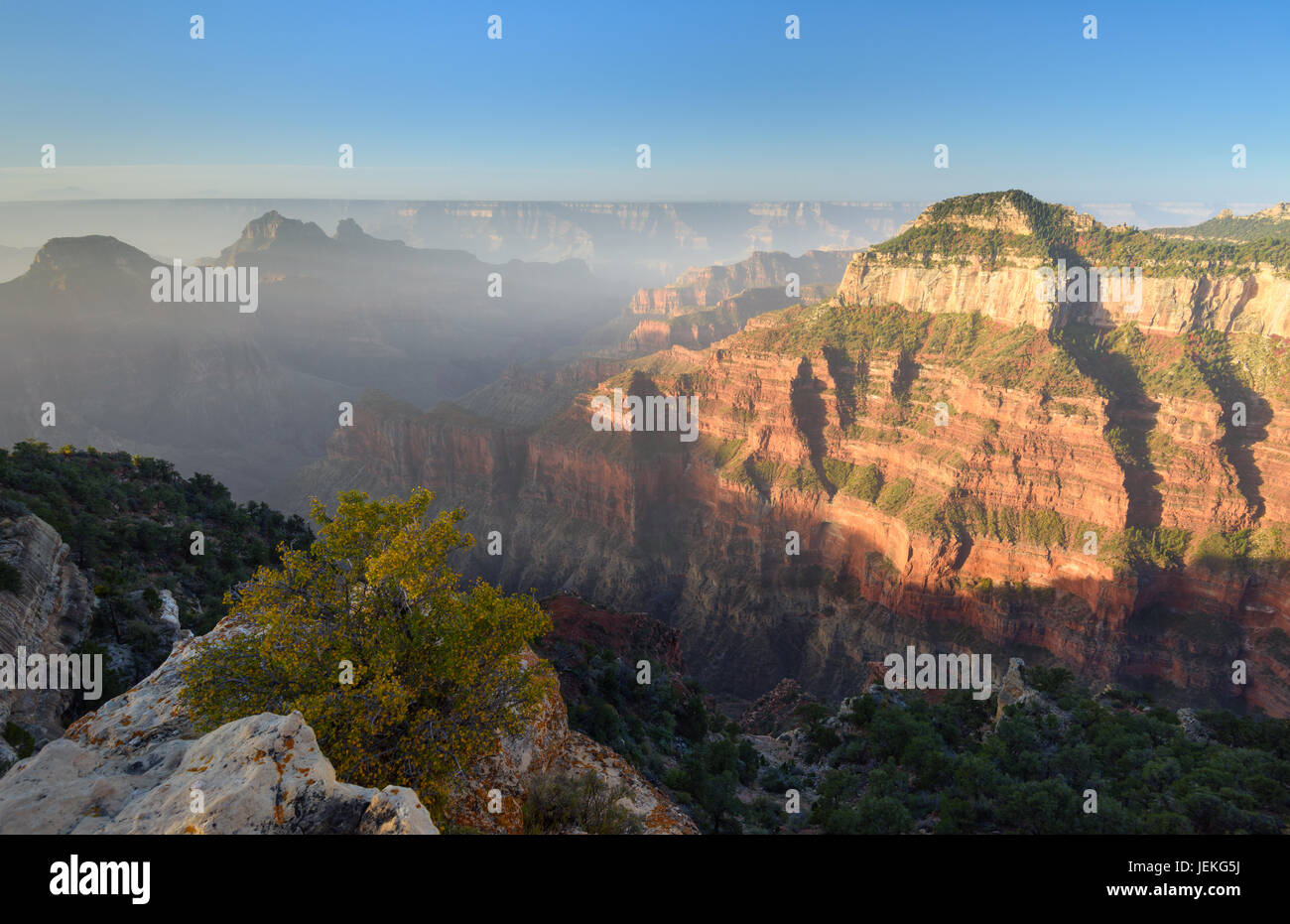 Alba a Bright Angel Point, North Rim, Grand Canyon, Arizona, Stati Uniti Foto Stock