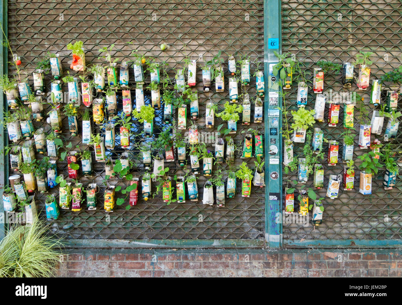 BERLINO, GERMANIA - 2 giugno 2017: Vecchi cartoni per bevande utilizzati come vasi per piante. Ambiente urbano di giardinaggio nella città di Berlino. Foto Stock