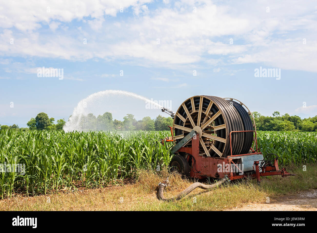 Attrezzatura agricola. Attrezzature per pompare acqua sul campo di grano.soffione di erogazione dell'acqua Foto Stock