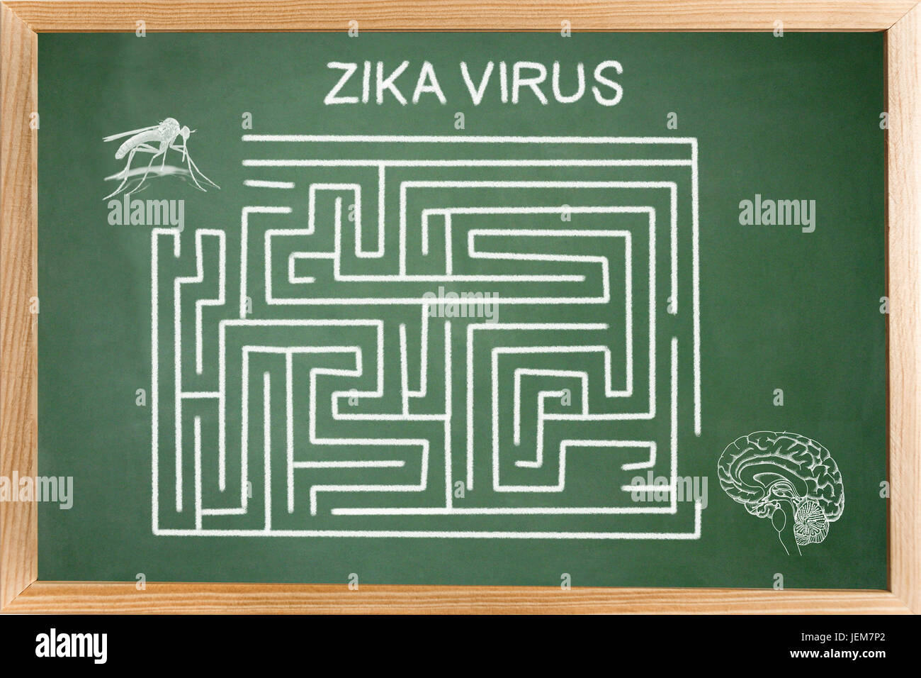 Schema concettuale disegnata con gesso su una lavagna verde della di Zica virus (ZIKV), labirinto senza risolto Foto Stock