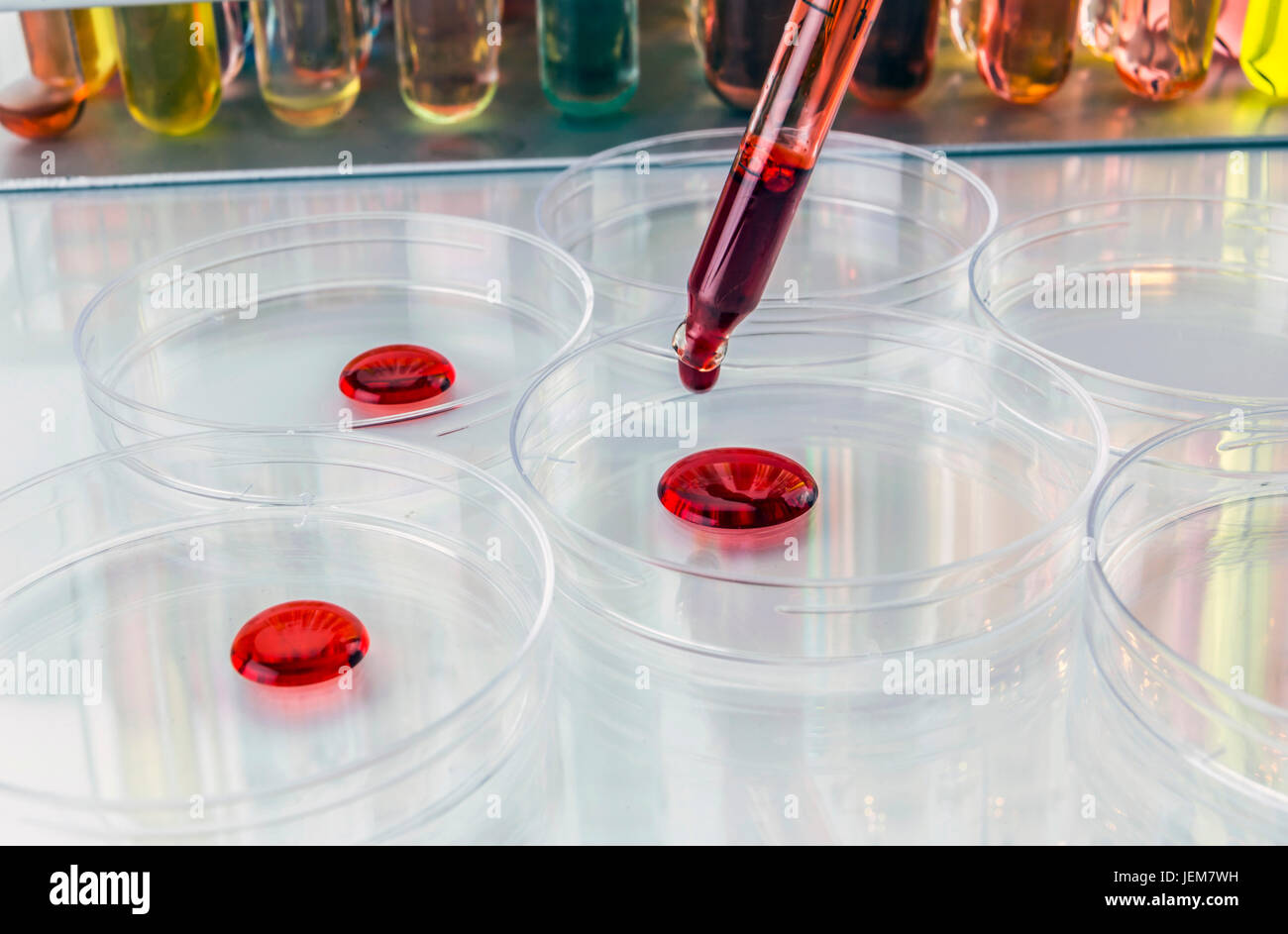 Pipetta con goccia di liquido e capsule di petri Foto Stock