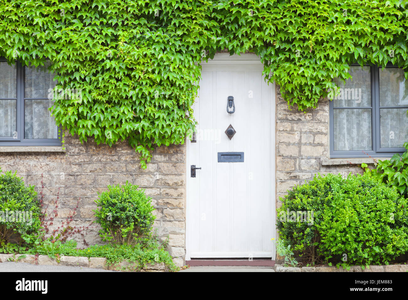 Bianco porte in legno in un tradizionale vecchio inglese cottage in pietra circondato dal verde di arrampicata di piante di vite . Foto Stock