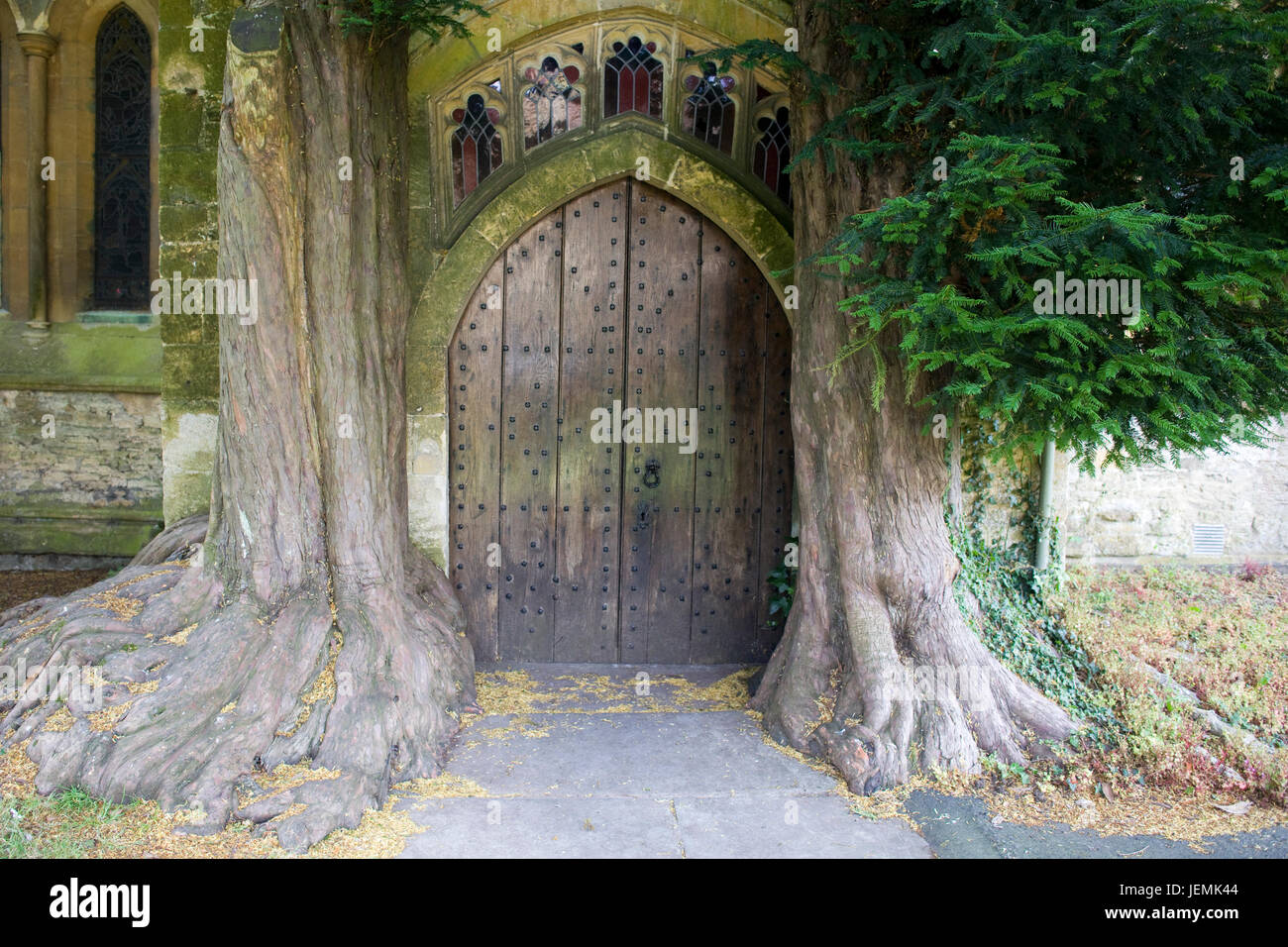 Yew alberi che fiancheggiano la porta di nord portico di St Edwards chiesa parrocchiale di Stow on the Wold Foto Stock