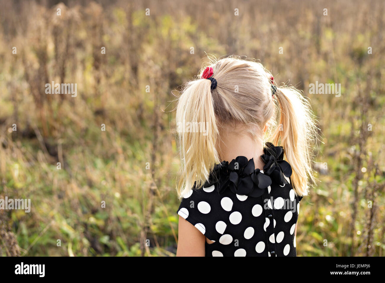 Ragazza con piggy tails, vista posteriore Foto Stock