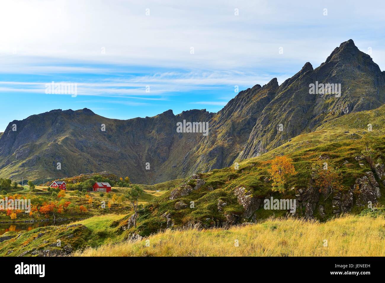Rurali paesaggio di montagna, ballstad, Nordland, Norvegia Foto Stock
