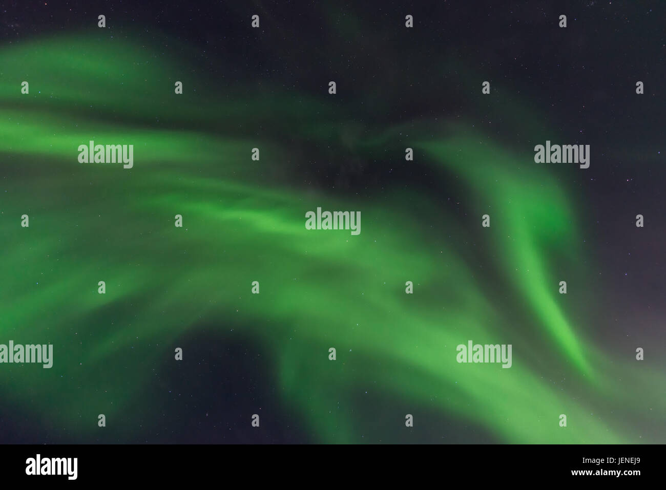 Close-up di Northern Lights nel cielo notturno, Yellowknife, Northwest Territories, Canada Foto Stock