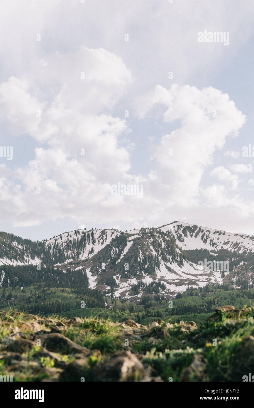 Wasatch Mountains, Utah, Stati Uniti Foto Stock