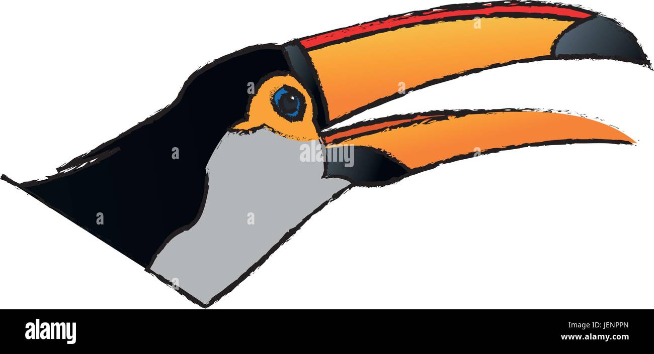 Toucan bird sulla natura in Brasile Illustrazione Vettoriale