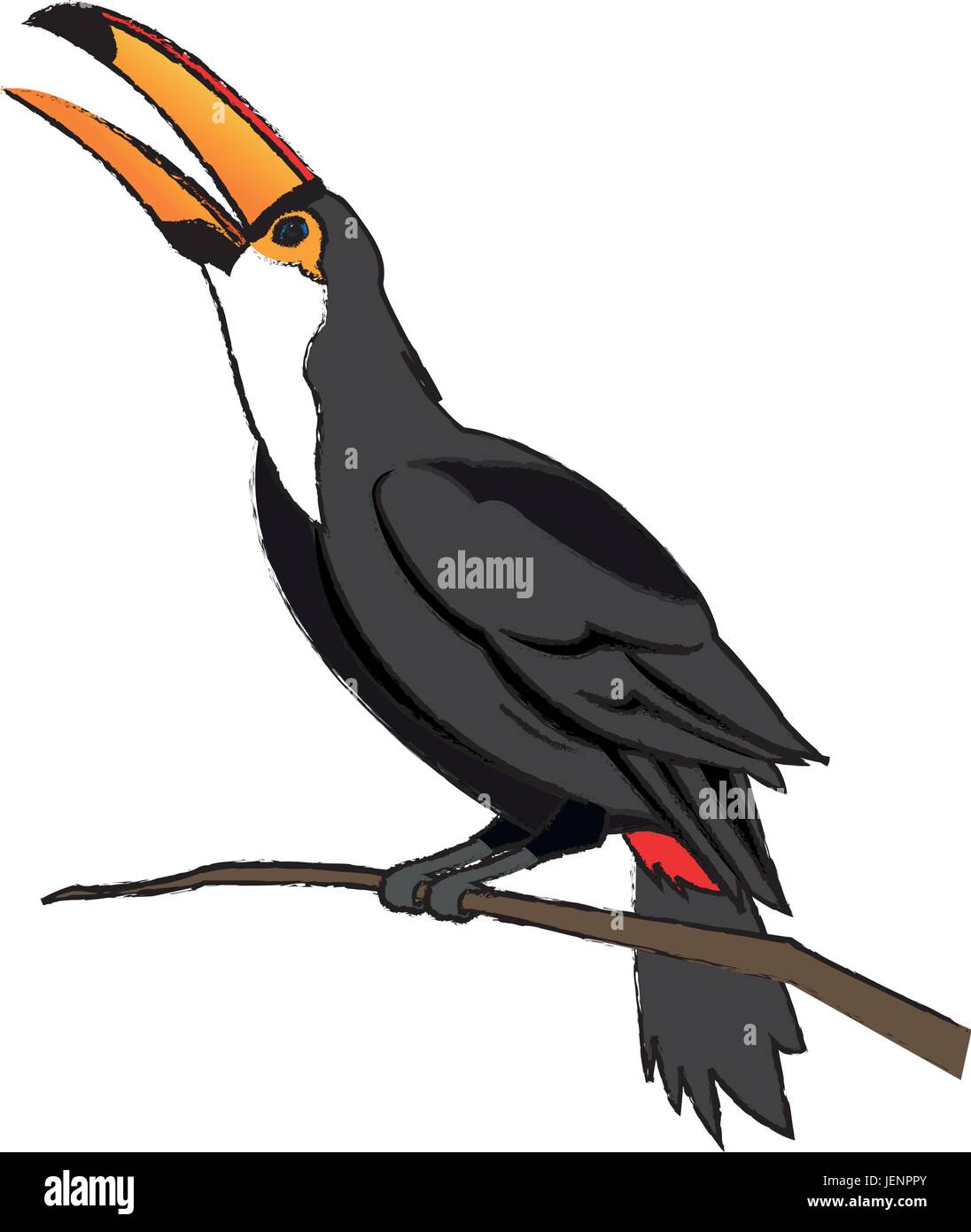 Toucan bird sulla natura in Brasile Illustrazione Vettoriale