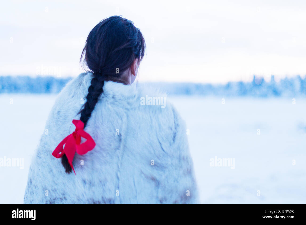 La donna nel paesaggio invernale Foto Stock