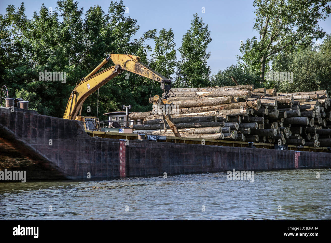 Fiume Tisa (Tisza), Serbia - Gru con ganasce registri di carico su una chiatta sul fiume Foto Stock