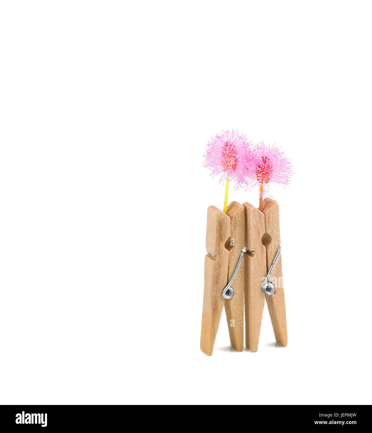 Clothespins e fiore rosa su sfondo bianco Foto Stock