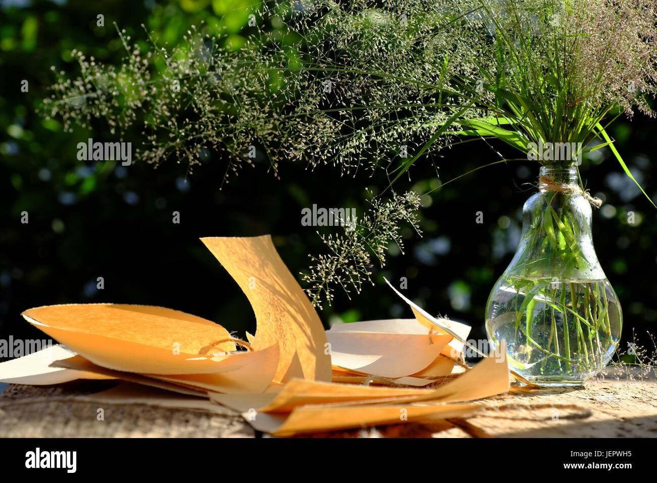 Erba di fiori in vaso di vetro con nota della carta nel vento soffiare al sole di sera fanno di sentimento e di calma, wild minuscoli fiori sul verde sfondo naturale in giardino Foto Stock