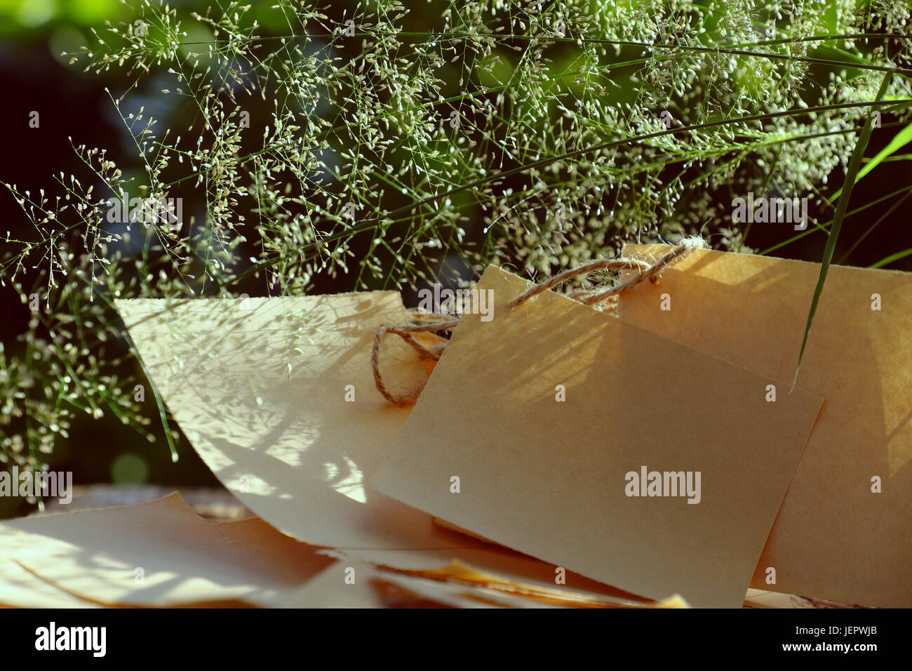 Erba di fiori in vaso di vetro con nota della carta nel vento soffiare al sole di sera fanno di sentimento e di calma, wild minuscoli fiori sul verde sfondo naturale in giardino Foto Stock