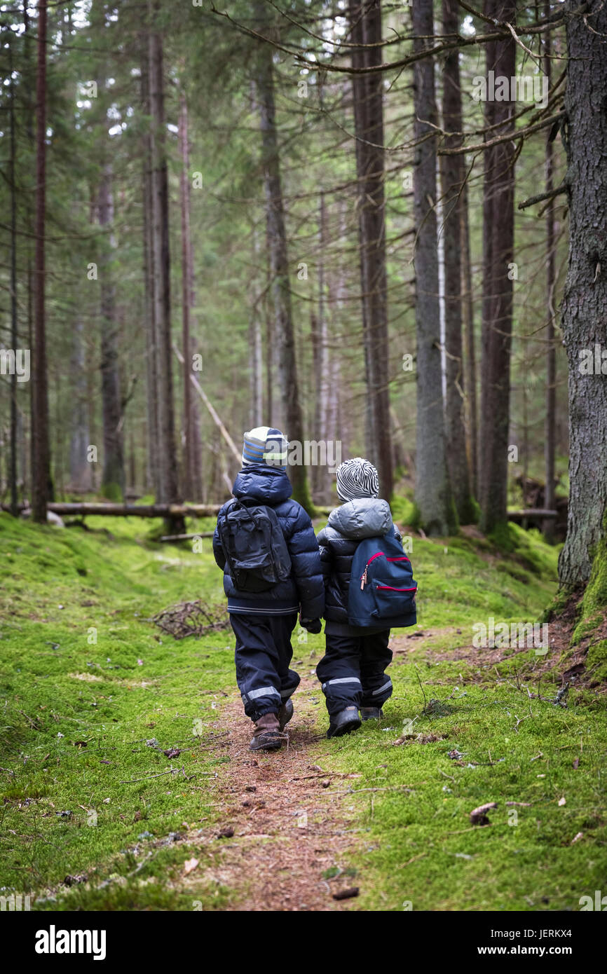 Bambini passeggiate in foresta Foto Stock
