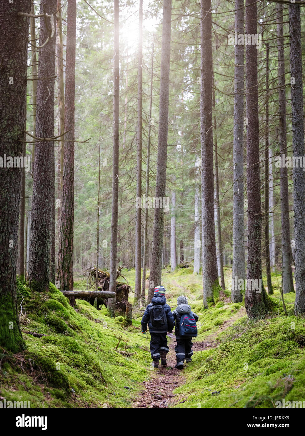 Bambini passeggiate in foresta Foto Stock
