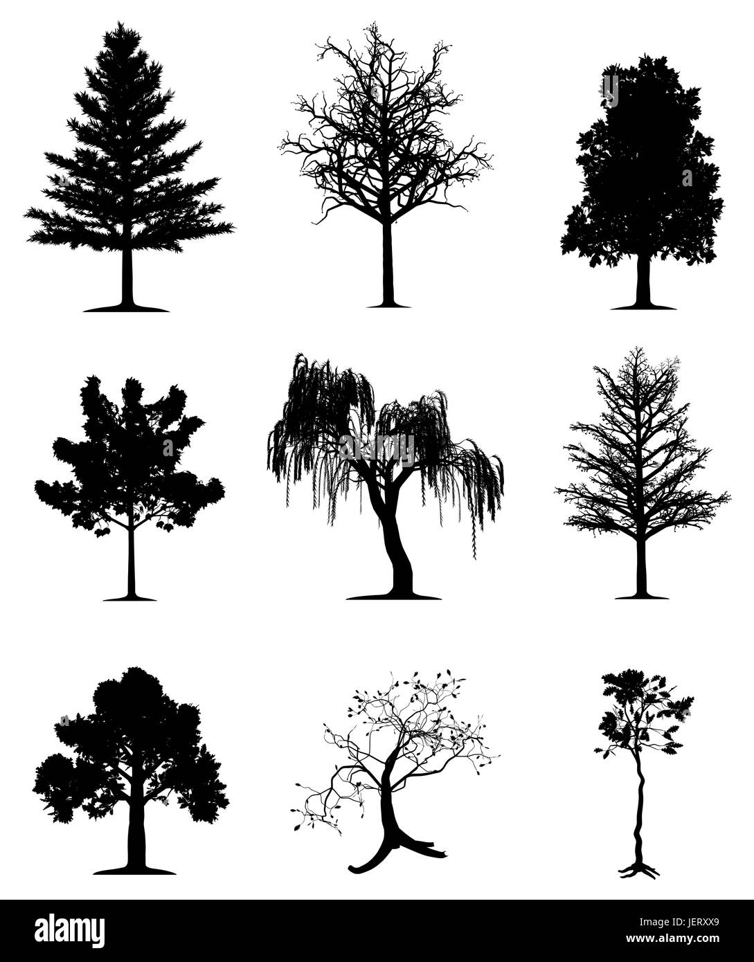 Tree, alberi di pino, quercia, silhouette, acero, salice piangente, sagome, foglia, Illustrazione Vettoriale