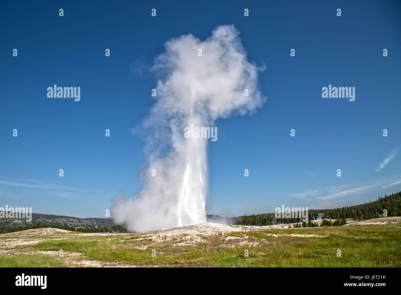 Geyser Old Faithful eruzione nel Parco Nazionale di Yellowstone Foto Stock