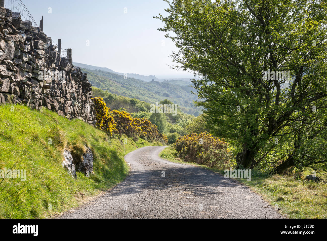 Vicolo del paese nelle colline vicino a Harlech, Snowdonia, il Galles del Nord. Harlech Castle in lontananza. Foto Stock