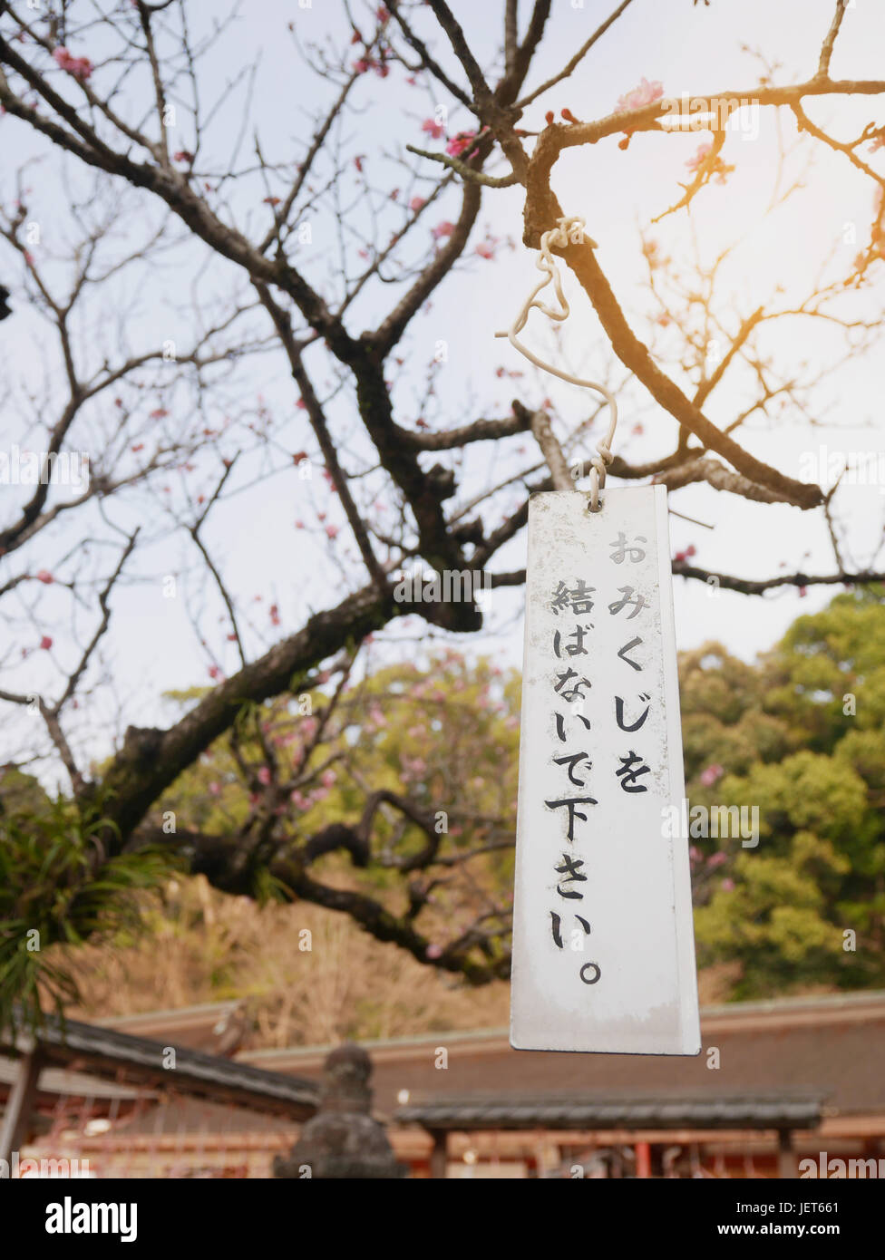 FUKUOKA, Giappone - 30 Marzo 2017: segno su un albero di prugna a Dazaifu Tenmangu santuario, dicendo in giapponese "Si prega di non legare omikuji (Giapponese fortuna-telli Foto Stock