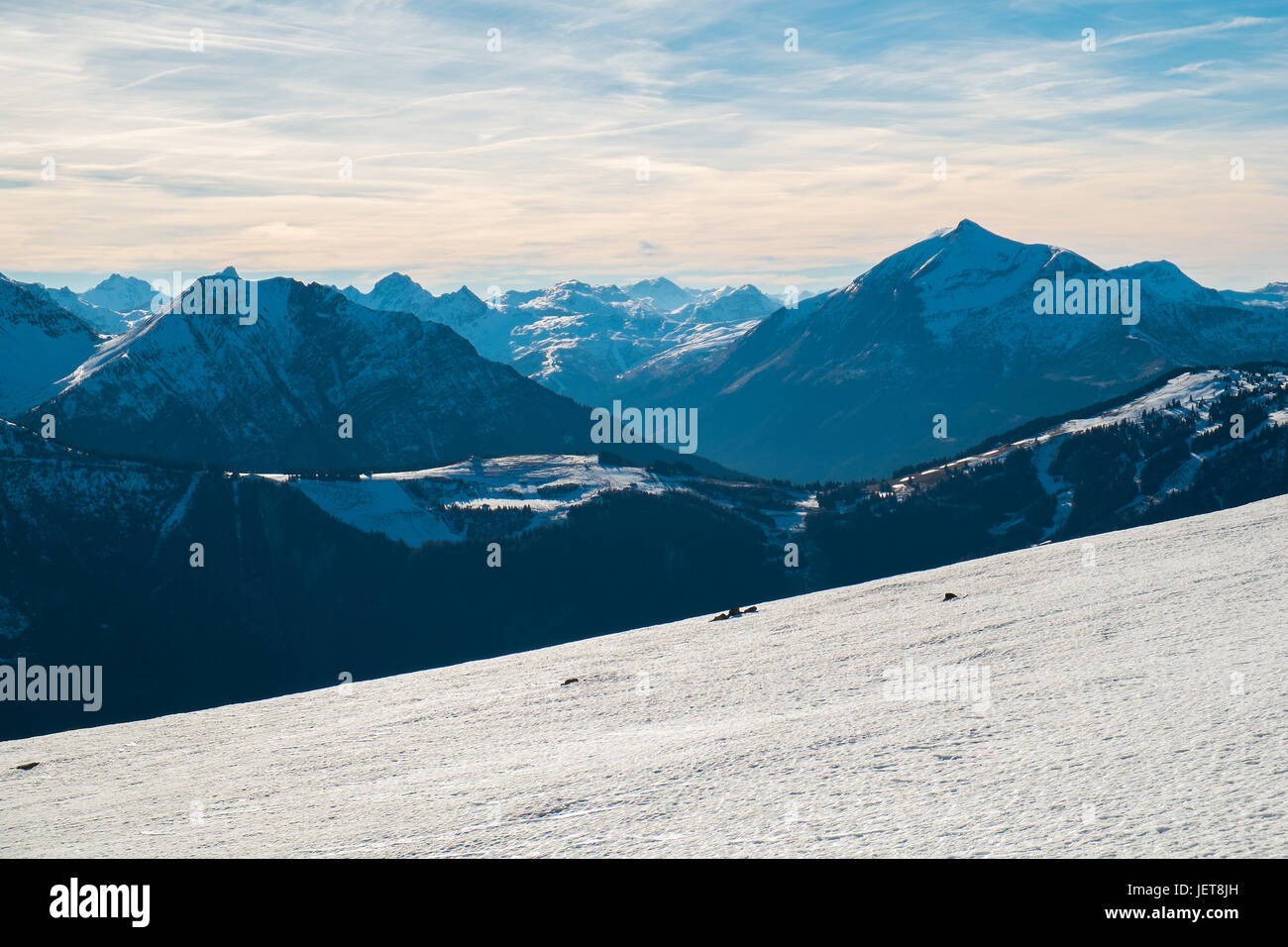 Vista di Mont Blanc e il Aravis da Aiguillette des Houches, Chamonix, Francia Foto Stock