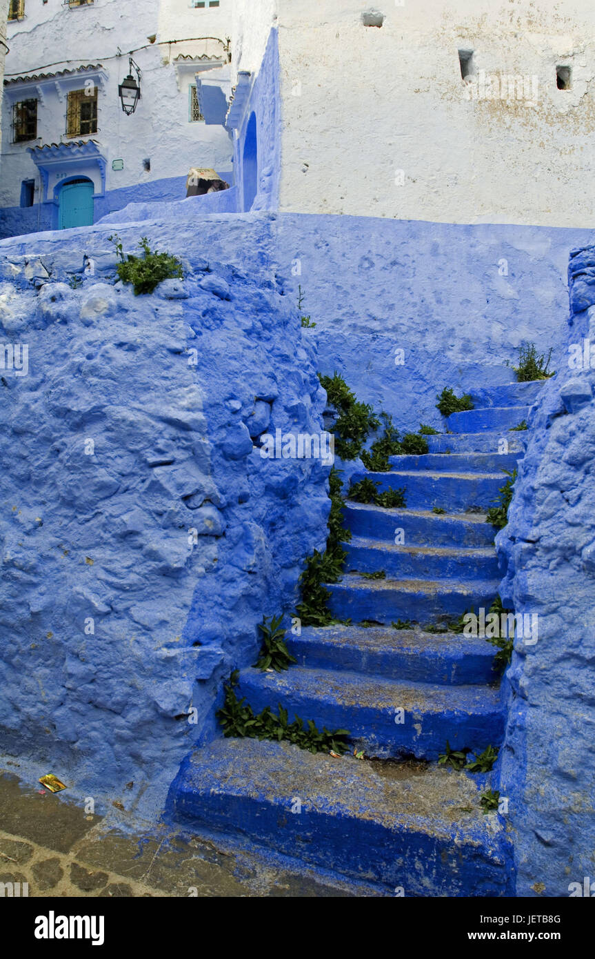 Il Marocco, Chefchaouen, lane, casa di facciata, blu, scale, Africa, casa, costruendo, casa di mura difensive, mura difensive, porta, stile architettonico, tradizione, architettura, facciata, deserte, luogo di interesse, passaggi, piante, Foto Stock