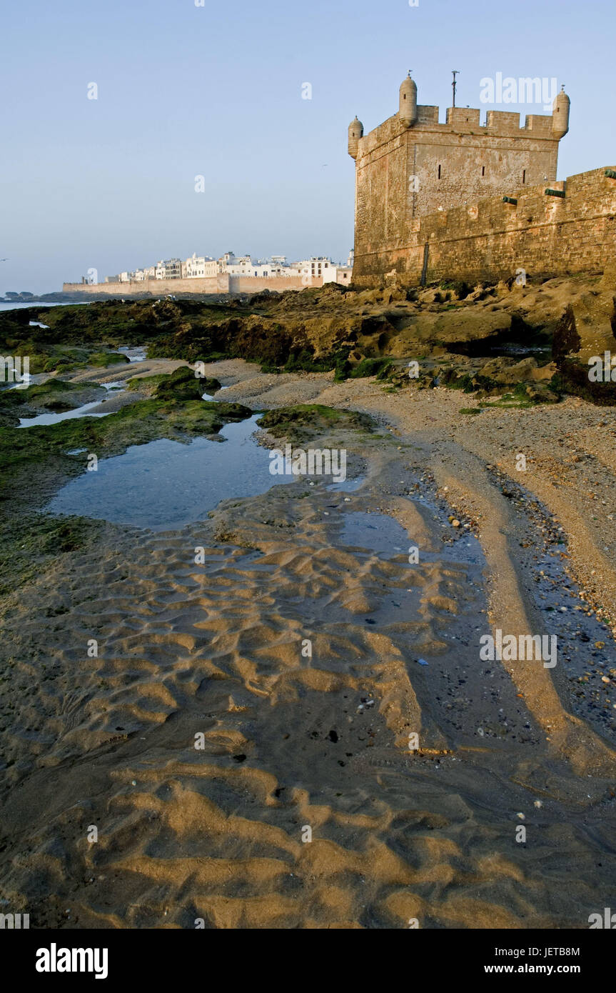 Marocco Essaouira, mura, sfondo, Medina, mare, bassa marea, alghe, sabbia, Africa, città, porta cittadina di pescatori, turismo, destinazione, luogo di interesse, mura difensive, architettura, Città Vecchia, storicamente, UNESCO-patrimonio culturale mondiale, al di fuori, deserte, maree Foto Stock
