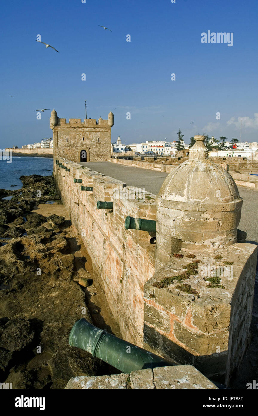 Marocco Essaouira, il porto, le mura, i cannoni, Africa, città, porta cittadina di pescatori, turismo, destinazione, luogo di interesse, fortificazione, architettura, mura difensive, pinnacoli, difesa, mare, gabbiani, esterno, deserte, Foto Stock