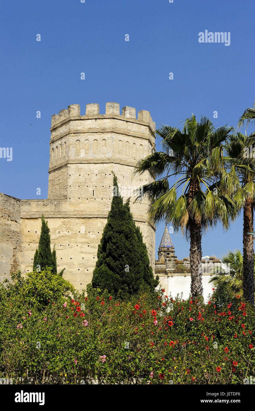 Spagna, Andalusia, provincia di Cadiz, Jerez de la Frontera, view all'Alcazar, Foto Stock