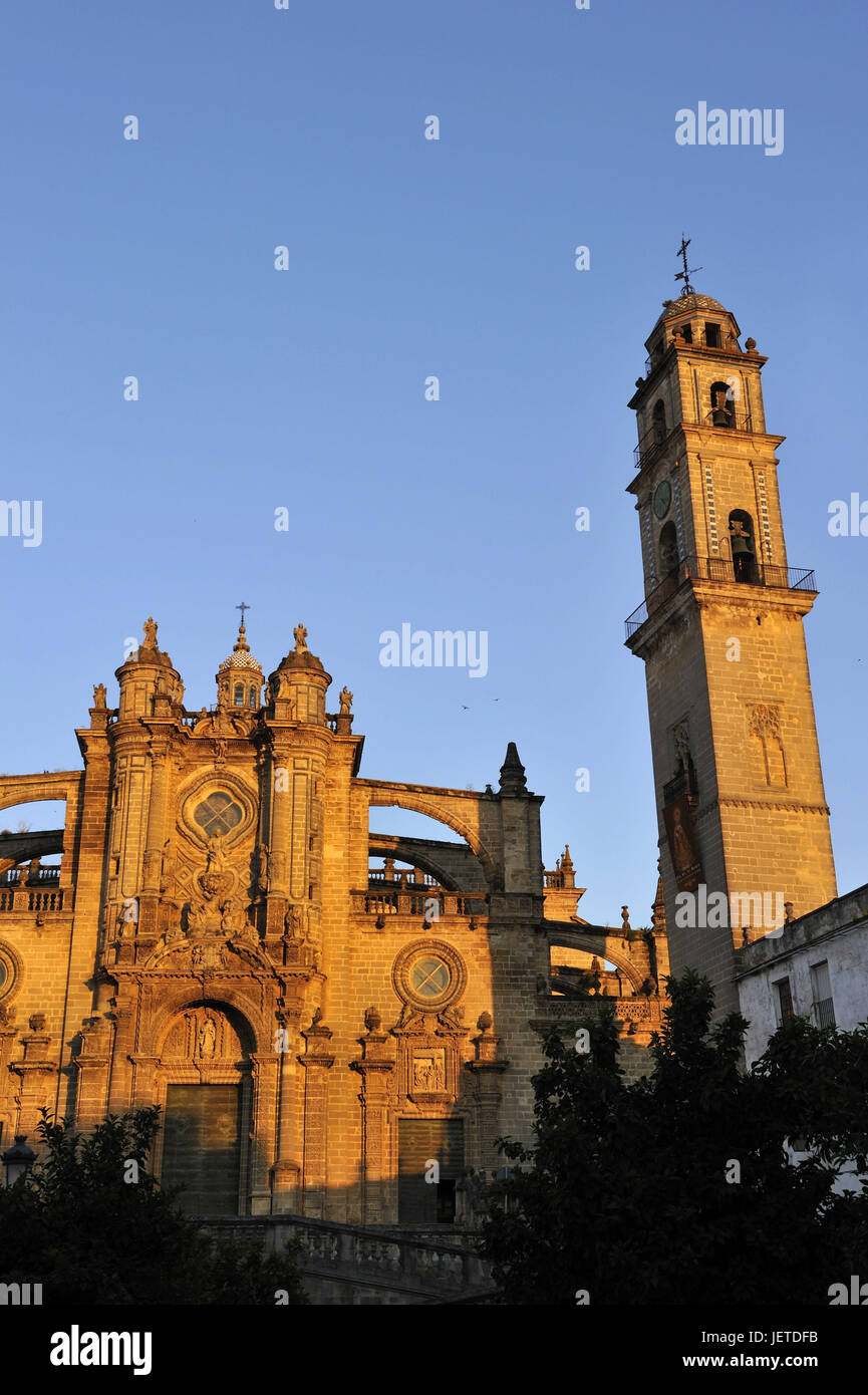 Spagna, Andalusia, provincia di Cadiz, Jerez de la Frontera, Cattedrale di Jerez de la Frontera, Foto Stock