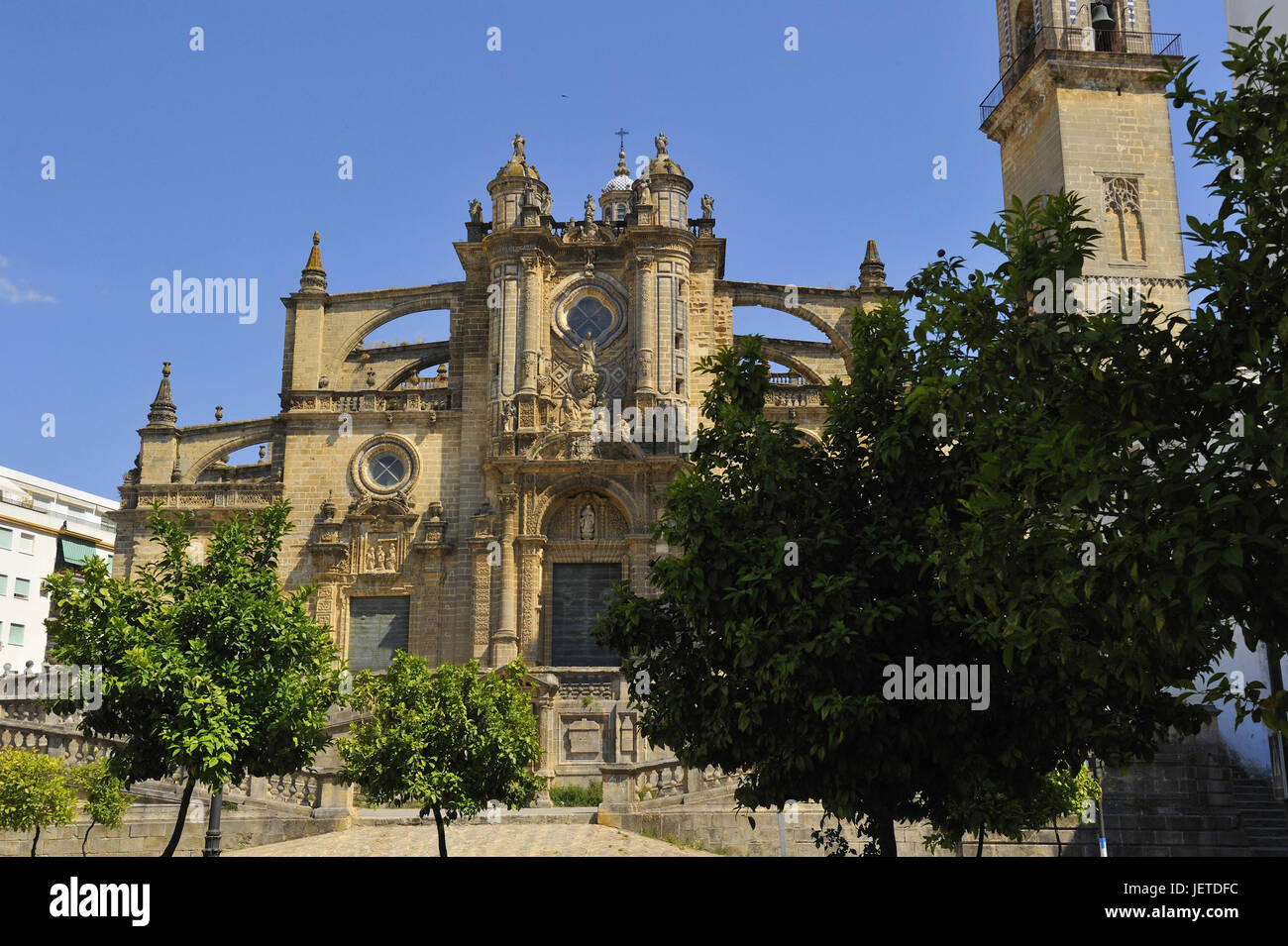 Spagna, Andalusia, provincia di Cadiz, Jerez de la Frontera, cattedrale, Foto Stock
