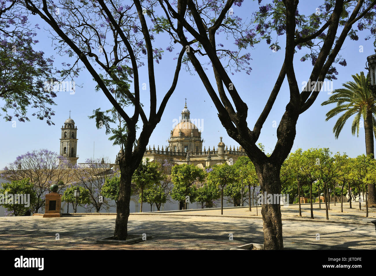 Spagna, Andalusia, provincia di Cadiz, Jerez de la Frontera, la vista della cattedrale, Foto Stock