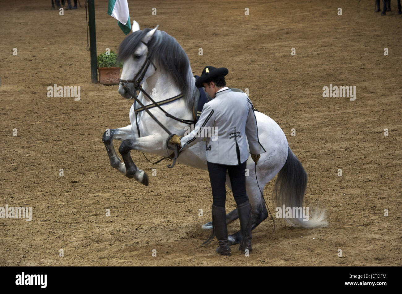 Spagna, Andalusia, provincia di Cadiz, Jerez de la Frontera, Spurgo del regio-andaluso accademia di equitazione dalla presentazione del corso di formazione, Foto Stock