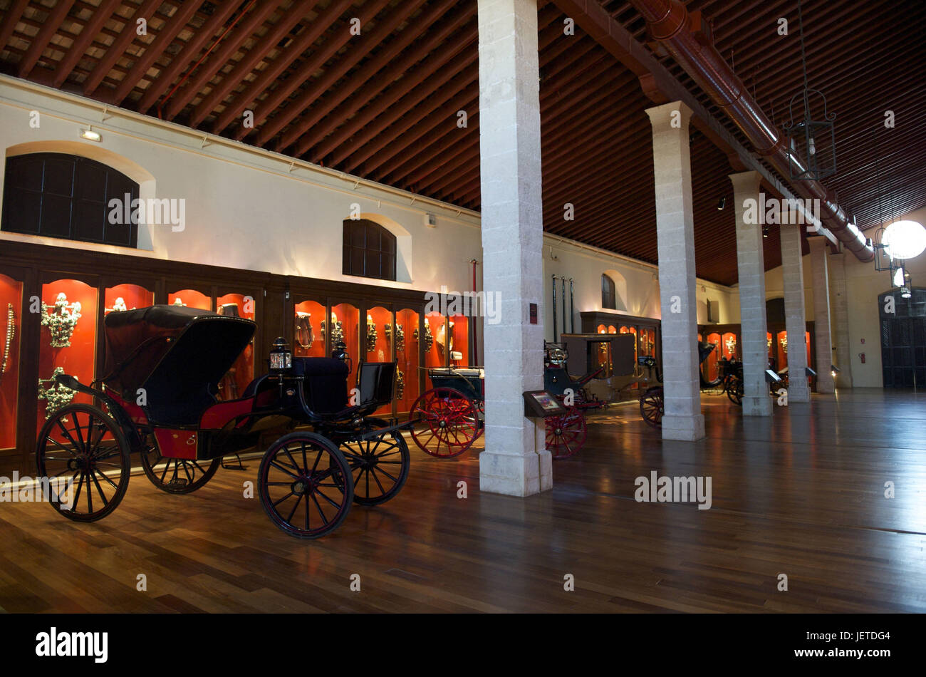 Spagna, Andalusia, provincia di Cadiz, Jerez de la Frontera, museo del regio-andaluso accademia di equitazione, Foto Stock