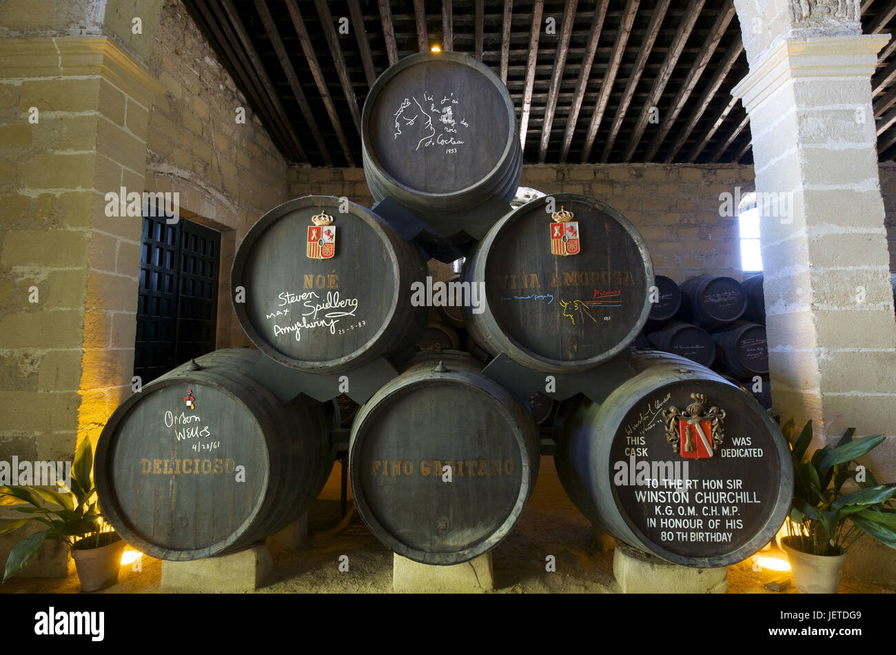 Spagna, Andalusia, provincia di Cadiz, Jerez de la Frontera, botti di vino in una cantina di vini, Foto Stock