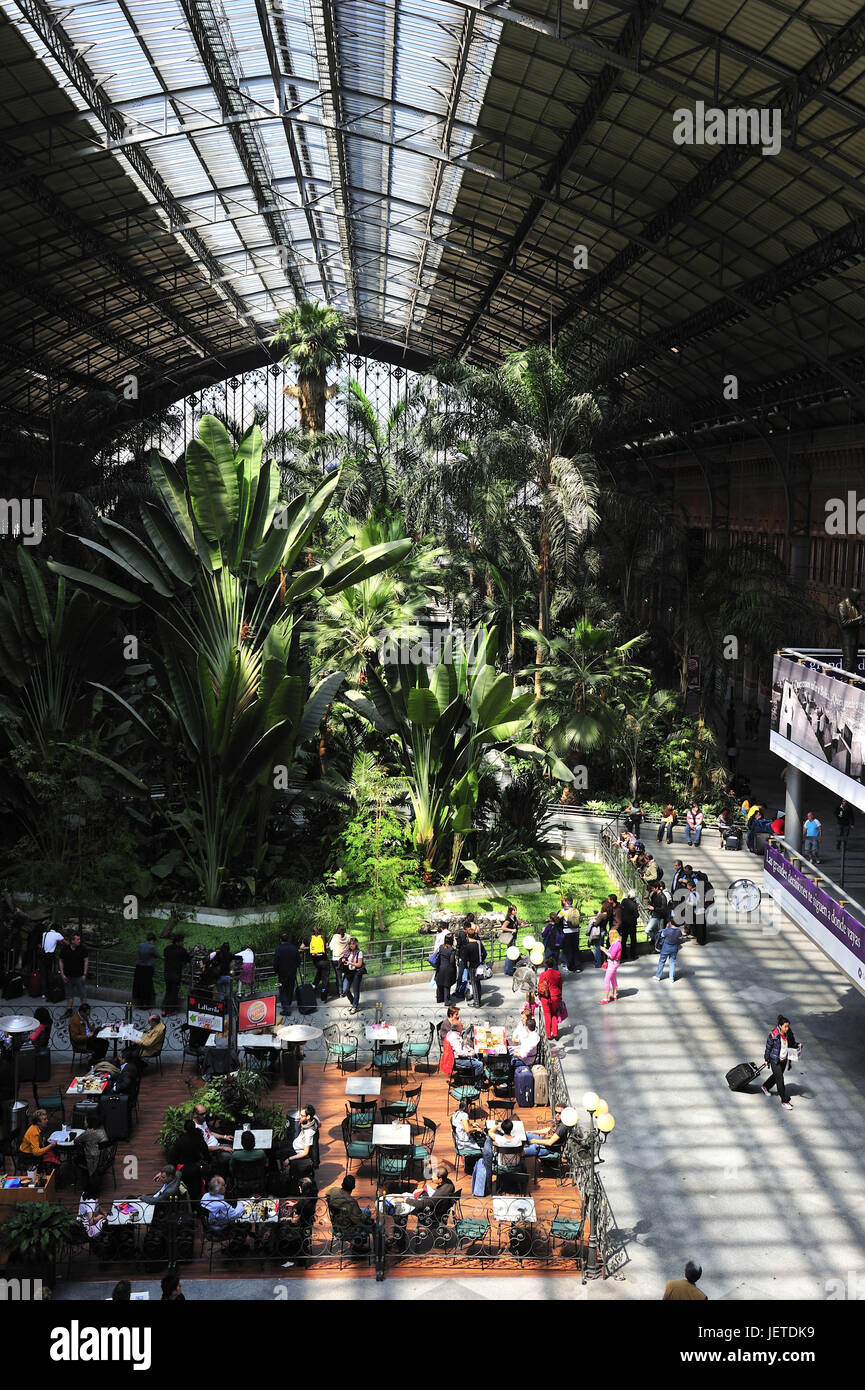 Spagna, Madrid, la stazione ferroviaria di Atocha, il giardino delle palme, Foto Stock