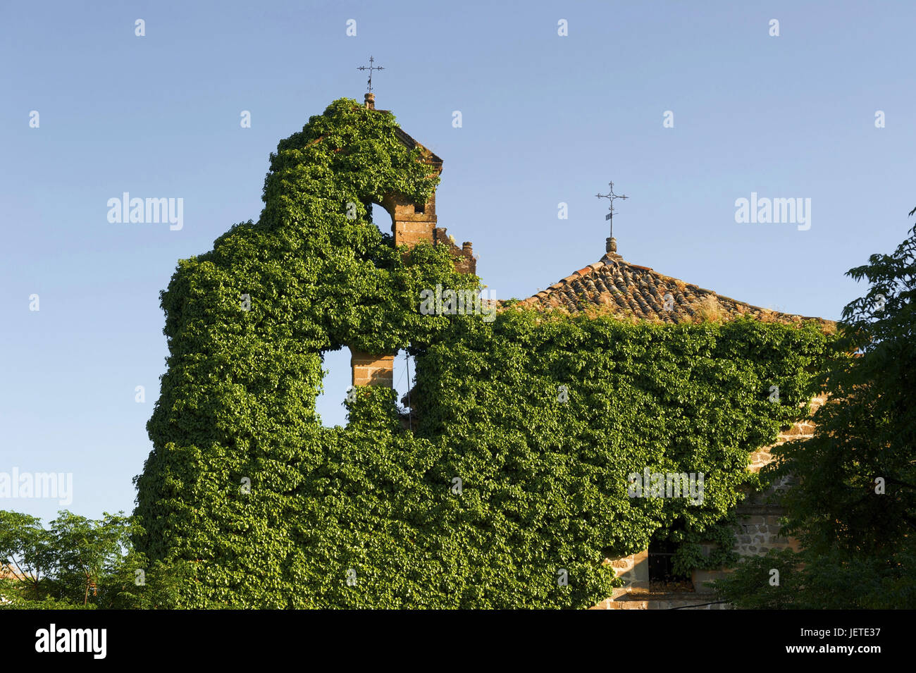 Spagna, Andalusia, a Ubeda, chiesa di San Lorenzo, l'edera Foto Stock
