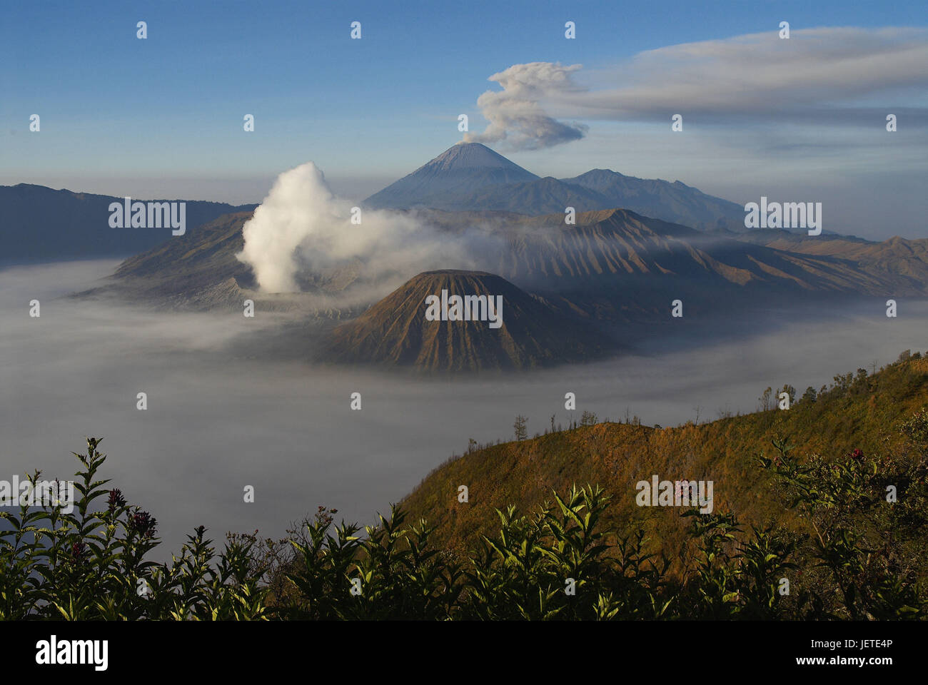 Asia, Indonesia, Java, vista al Mt. Bromo e il monte Semeru, Foto Stock