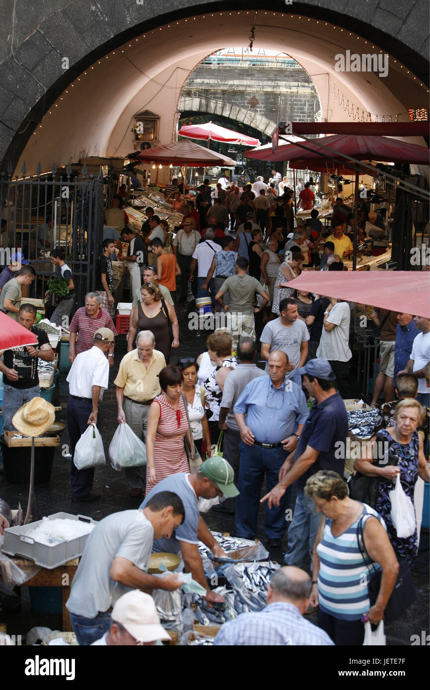 L'Italia, Sicilia, Catania, Città Vecchia, mercato del pesce, persona, Europa meridionale, lane, mercato, le bancarelle del mercato, vendite, pesce il cibo di pesce, cibo, economia, commercio al dettaglio del Concessionario venditore, mercato battendo, Foto Stock