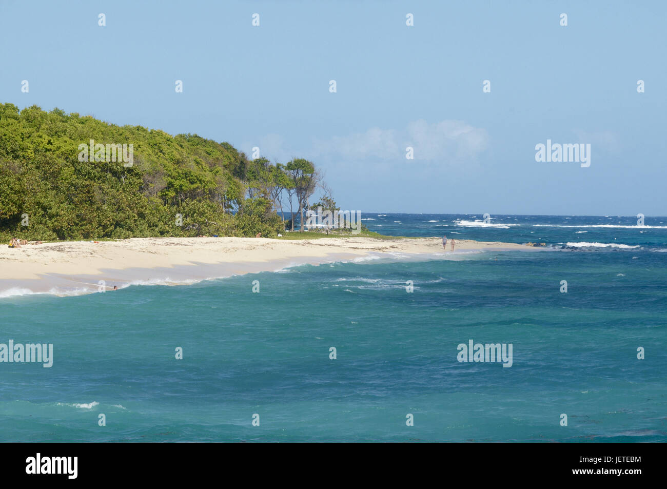 Martinica, cape Ferré, spiaggia di sabbia Foto Stock
