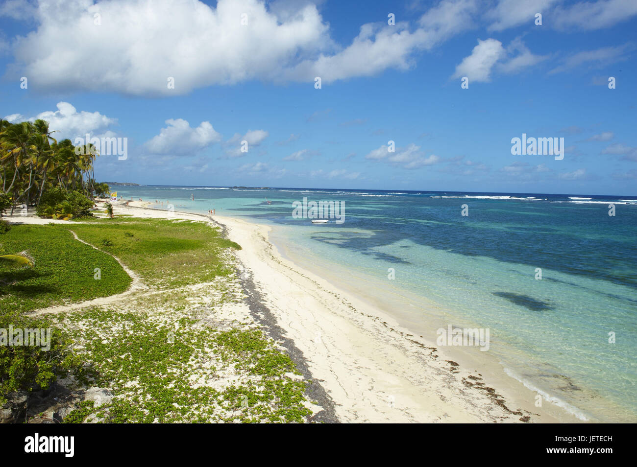 Martinica, capo Chevalier, spiaggia di sabbia Foto Stock