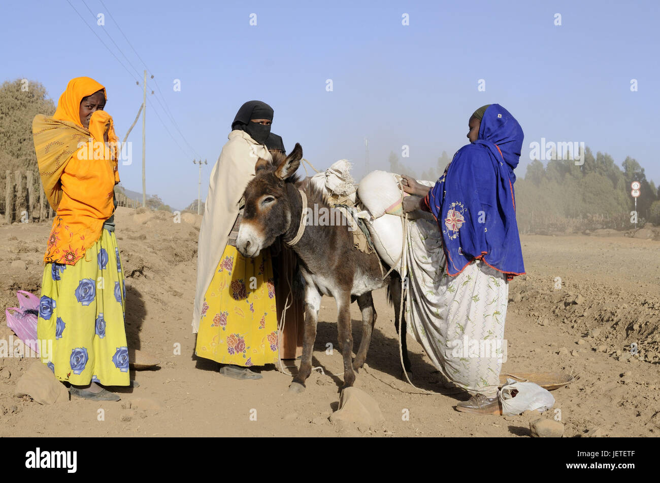 Street, donne, musulmana, asino, costi di mercato, tag Ogaden, Etiopia, Foto Stock