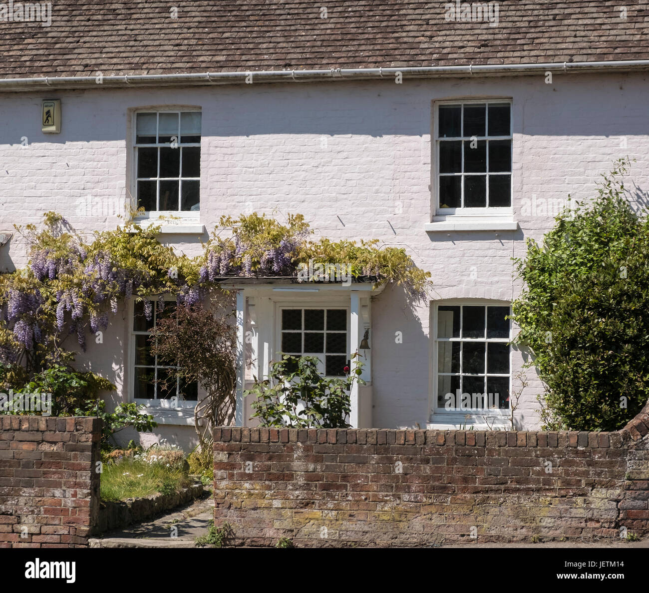 Vecchi e pittoreschi cottage con il glicine superriduttore albero che cresce oltre la porta e le finestre, Christchurch, Dorset, England, Regno Unito Foto Stock