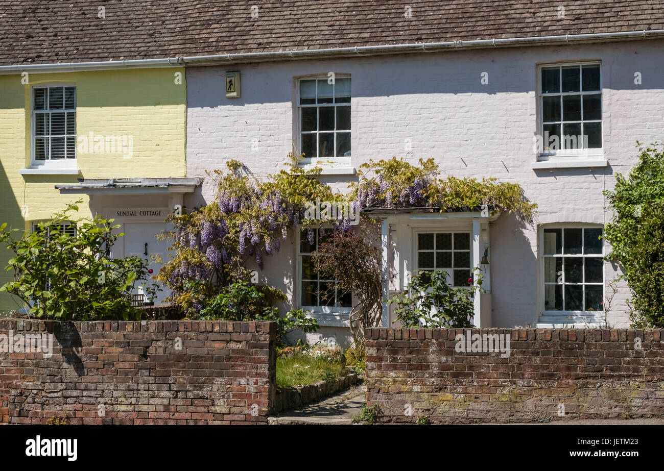 Vecchi e pittoreschi cottage con il glicine superriduttore albero che cresce oltre la porta e le finestre, Christchurch, Dorset, England, Regno Unito Foto Stock