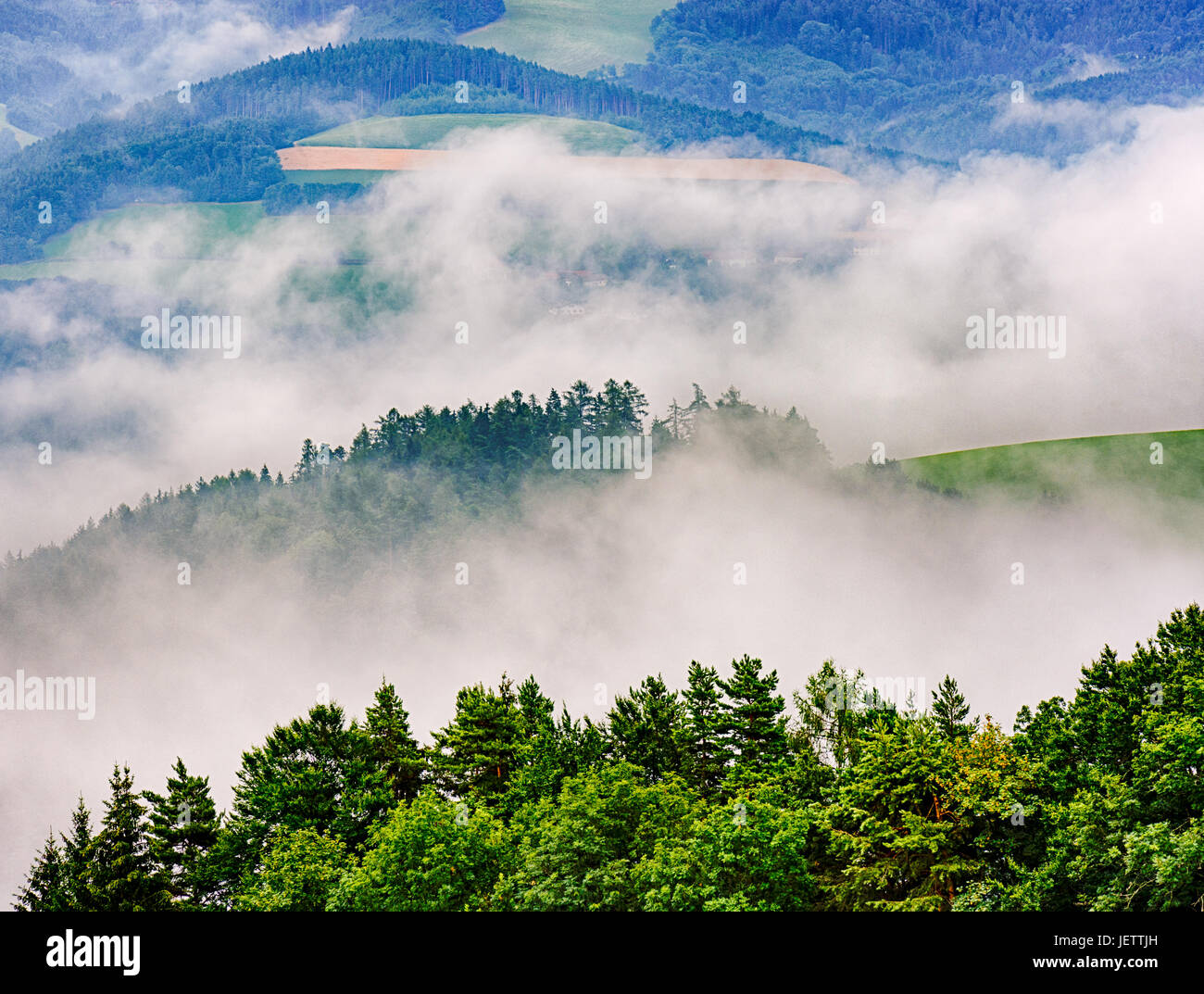 Scenic impressionistica immagine a colori di un nebbioso layered collinare paesaggio rurale con campi,la foresta e la nebbia nelle valli Foto Stock