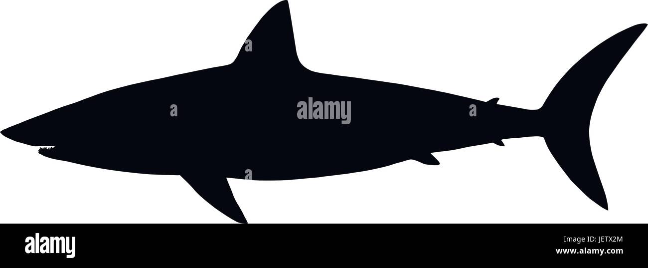 Pericolo, arte, pesce, illustrazione, la fauna selvatica, silhouette, raving, furiosa, arrabbiato, Illustrazione Vettoriale