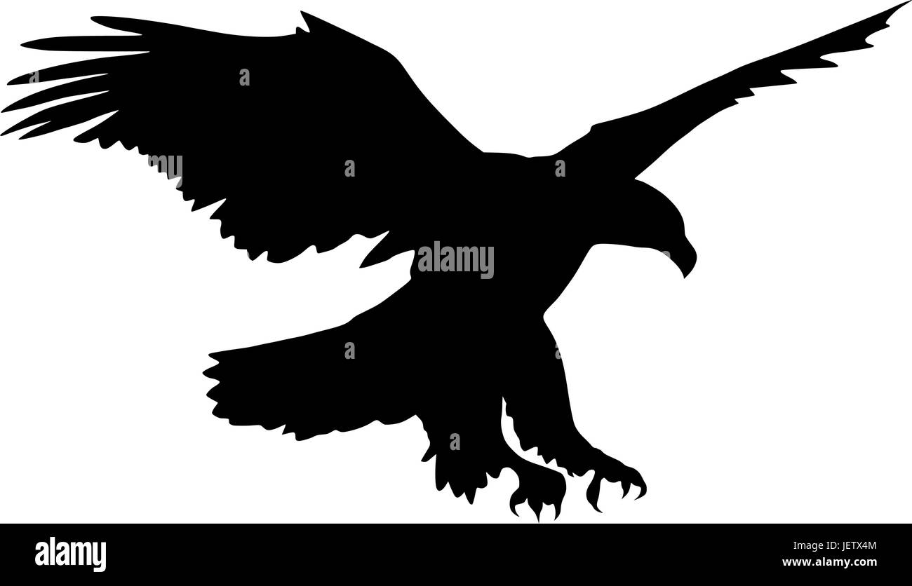 Eagle Vector Illustrazione Vettoriale